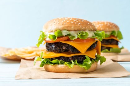 Why Plant-Based Burgers Are Here to Stay 1 fresh tasty burger