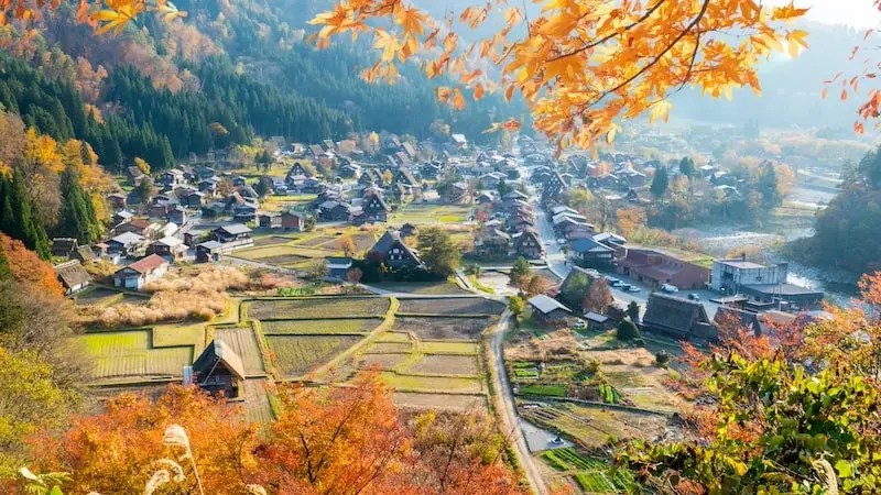 Shirakawa go During Autumn