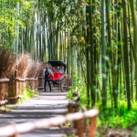 A Rickshaw in Arashiyama