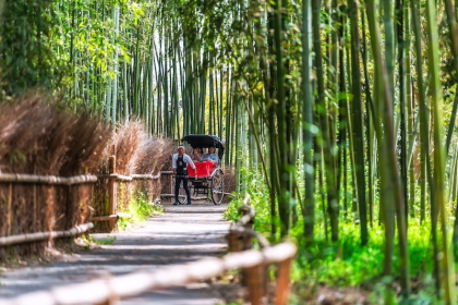 Panduan Lengkap ke Jepang: 47 Hal Penting yang Wajib Diketahui Sebelum Berkunjung 29 A Rickshaw in Arashiyama