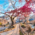 Pesona Ikaho Onsen, Salah Satu Destinasi Wisata Terbaik di Gunma 2 Ikaho Onsen During Late Autumn