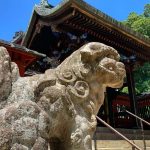 Kuil Iwakiyama: Menengok Kemegahan di Bayang-Bayang Gunung Iwaki Aomori 33 Komainu at Iwakiyama Shrine