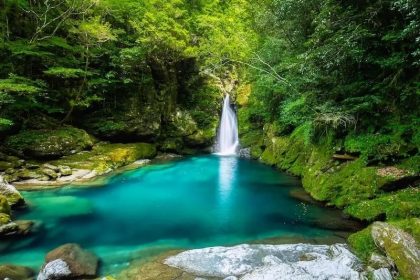 Prefektur Kochi: Kampung Halaman Sakamoto Ryoma dan Niyodo Blue 11 Nikobuchi