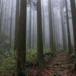 Ogomotori-goe: Bebas dari Kutukan Dewa Kumano 14 Ogumotori goe Dogiri zaka