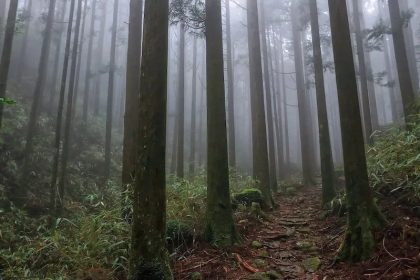 Ogomotori-goe: Bebas dari Kutukan Dewa Kumano 27 Ogumotori goe Dogiri zaka