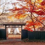 Menyusuri Keindahan Kakunodate: Kota Kastil dan Distrik Samurai Bersejarah di Akita 9 Samurai Residences in Kakunodate During Autumn