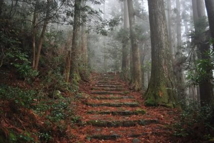 The Kumano Kodo is One Part of the Endless Journey
