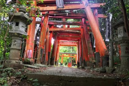The Torii of Fushimi Hakuseki Inari Shrine