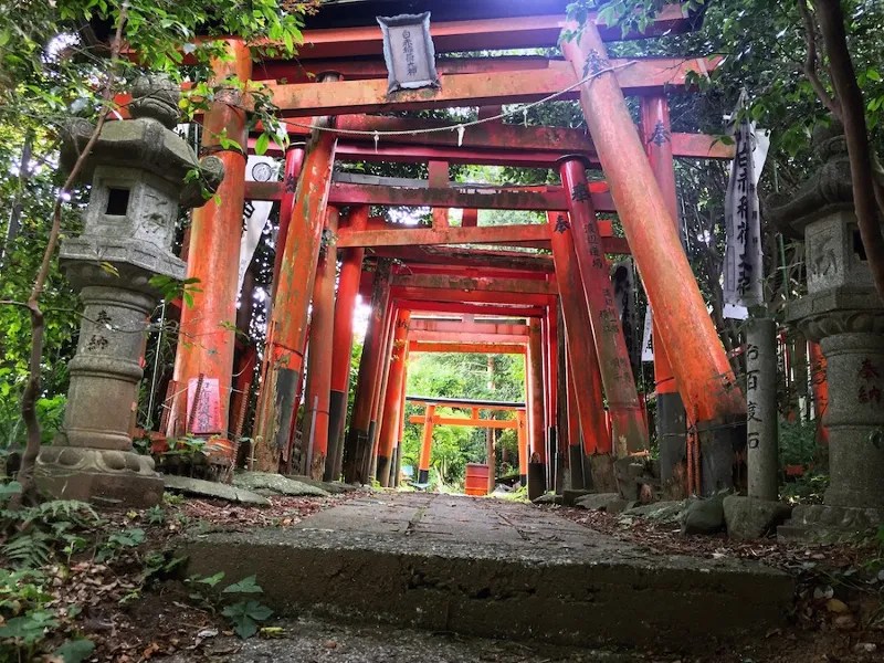 Fushimi Hakuseki Inari Shrine: Permata Tersembunyi di Yokosuka 5 The Torii of Fushimi Hakuseki Inari Shrine