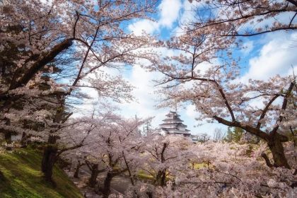 Panduan Wisata Aizu-Wakamatsu: Kunjungi Kastil Tsuruga, Sazaedo, dan Ouchijuku 72 Tsuruga Castle During Spring in Aizu Wakamatsu