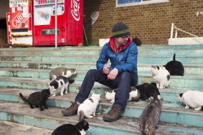 Tashirojima, Pulau Kucing Terkenal di Jepang yang Bagaikan Cat Lady Versi Pulau 2 header 640x 82