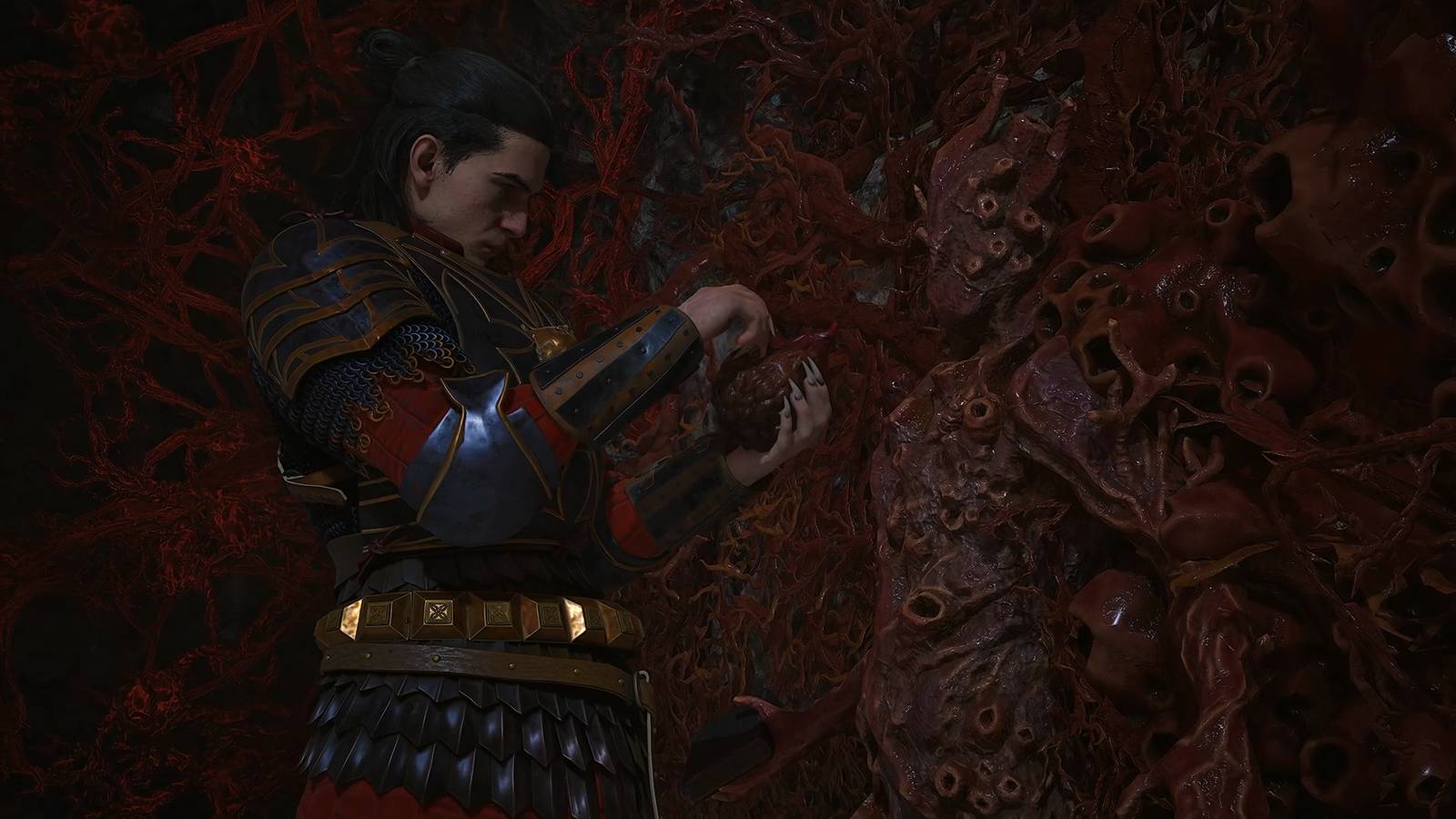 how to get mandrake ward perk in the blood of dawnwalker