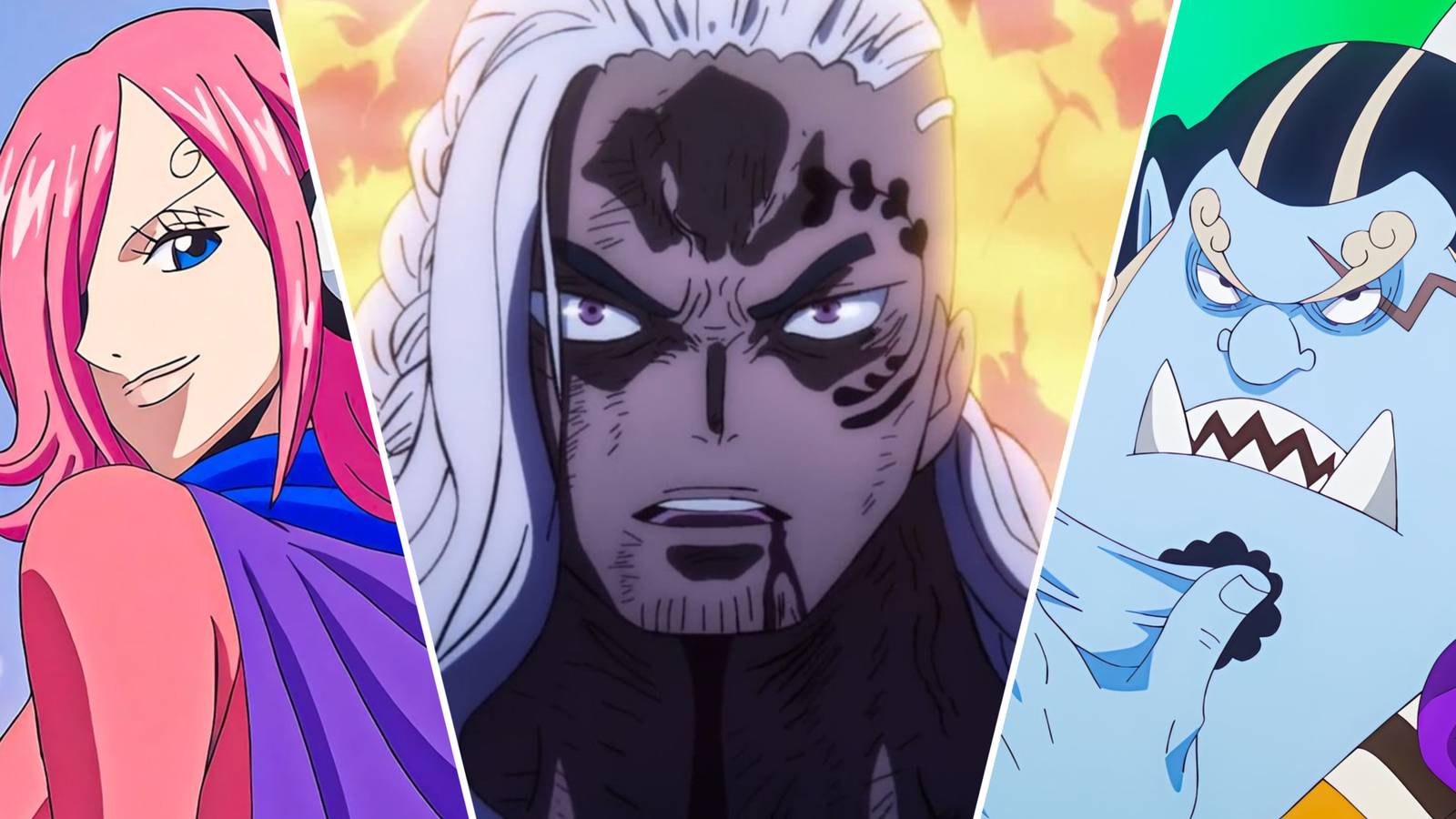 one piece strongest abilities not devil fruit haki