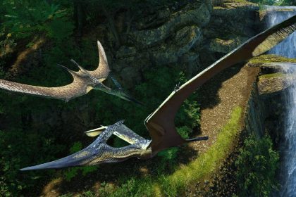 The Isle Evrima: Server Unofisial Terbaik & Cara Bergabung 13 the isle best roleplay servers how to join