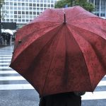 Tsuyu, Musim Hujan di Jepang: Waktu Tepat yang Sering Terlewatkan 3 A Red Umbrella in Shibura During Tsuyu
