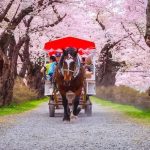 Horse Carriage at Kitakami Tenshochi Park