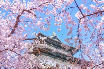 Kastil Matsumae: Bunga Sakura & Benteng Perbatasan Ezo 34 Matsumae Castle the Cherry Blossoms