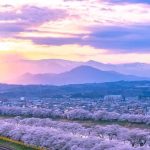 Pesona Hitome Senbonzakura & Kastil Funaoka: Keindahan Musim Semi di Miyagi 5 Mt. Zao the Hitome Senbonzakura