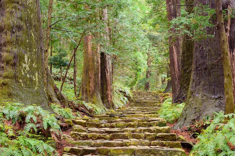 Kenapa Harus Keluar dari Jalur Mainstream? Wisata Autentik di Jepang 6 Part of the Kumano Kodo in Wakayama Prefecture