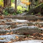 The Pathway to Takino o Shrine