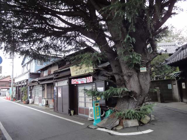 Pesona Tersembunyi Yanaka di Tokyo 28 header 640x 97