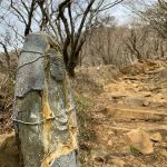 Wisata Spiritual Gunung Oyama, Salah Satu Pesona Kanagawa 9 A Buddist Statue Near the Summit of Mt. Oyama