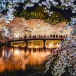 An Iconic Bridge at Hirosaki Castle Park