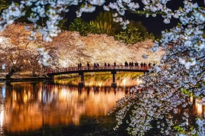 An Iconic Bridge at Hirosaki Castle Park