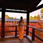 Musim di Jepang | Lebih dari Sekadar Semi, Panas, Gugur, & Dingin 8 Autumn at Tofuku ji