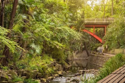 Menjelajah Lembah Todoroki Tokyo, Surga Tersembunyi di Tengah Kota (Backyard Tourism Vol. 6) 84 Golf Bridge in the Todoroki Ravine
