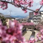 Kyotos Yodo Suiro Waterway
