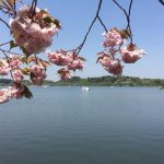 Mito & Kairaku-en | Rumah Bagi Salah Satu Taman Legendaris Jepang 7 Mitos Lake Senba Kairaku en