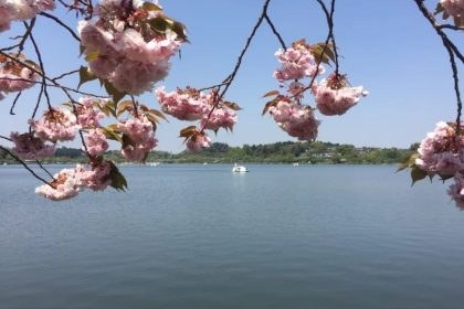 Mito & Kairaku-en | Rumah Bagi Salah Satu Taman Legendaris Jepang 24 Mitos Lake Senba Kairaku en