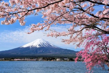 Panduan Hanami untuk Pemula | 5 Tips Menikmati Musim Bunga Sakura 31 Mt. Fuji During the Cherry Blossom Hanami Season