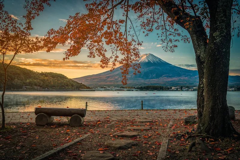 Menikmati Keindahan Kawaguchiko, Destinasi Populer di Yamanashi 5 Mt. Fuji Kawaguchiko During Autumn