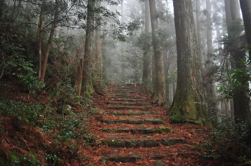 Menolak Ikigai Saya | Meninggalkan Raison d’etre Saya 4 The Kumano Kodo is One Part of the Endless Journey