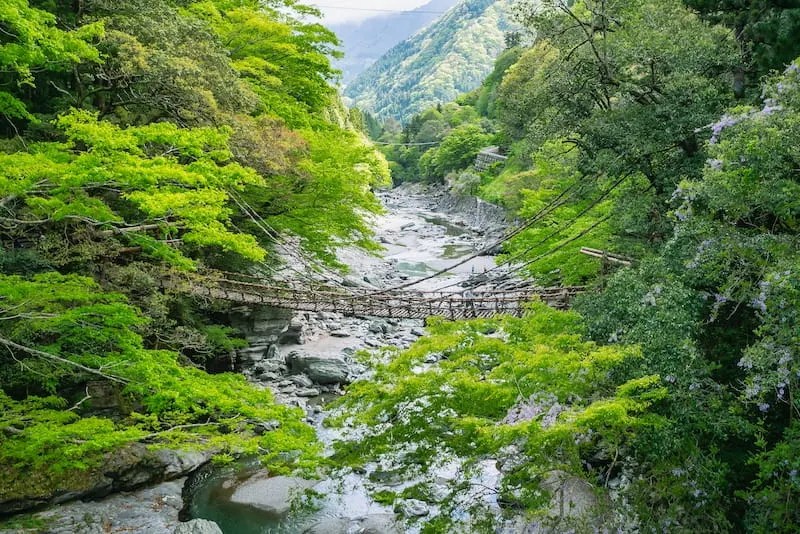 Lembah Iya, Sisi Pedesaan yang Asri di Prefektur Tokushima 9 he Iya Valleys Kazurabashi From Afar