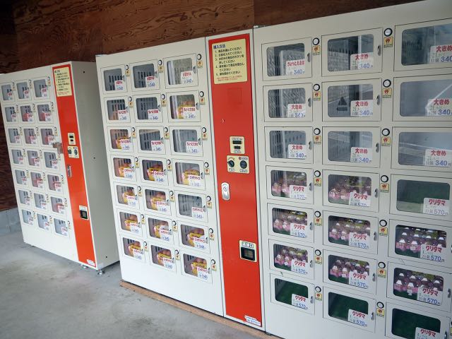 Mesin Vending Telur Segar Langsung dari Pantat Ayam ke Mesin ke Mulut Anda 8 header 640x 70