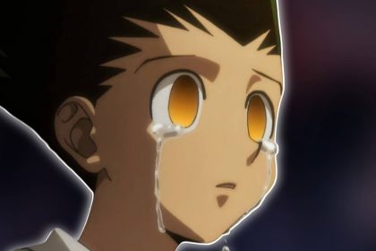 hunter x hunter hiatus