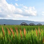 Asakuras Water Wheels