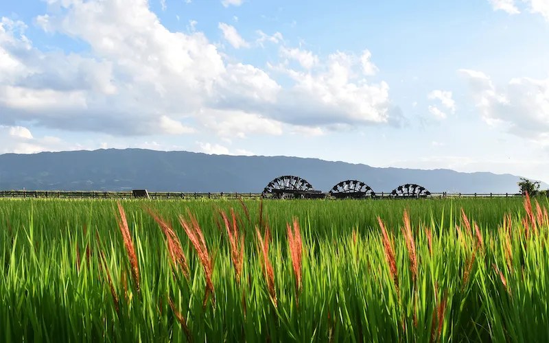 Menjelajahi Asakura, Sisi Historis Fukuoka yang Sering Terlewatkan 4 Asakuras Water Wheels