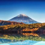 Aokigahara: Menghapus Stigma "Hutan Bunuh Diri 31 Lake Saiko Aokigahara