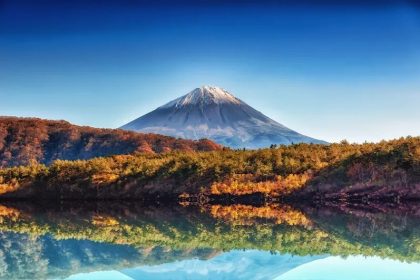Lake Saiko Aokigahara