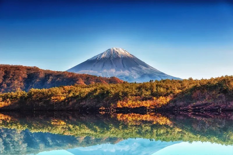 Lake Saiko Aokigahara