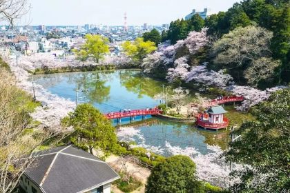 Pesona Taman Mobara: Festival Bunga Sakura Kota Mobara 52 Mobara Park