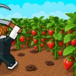 farmers market codes