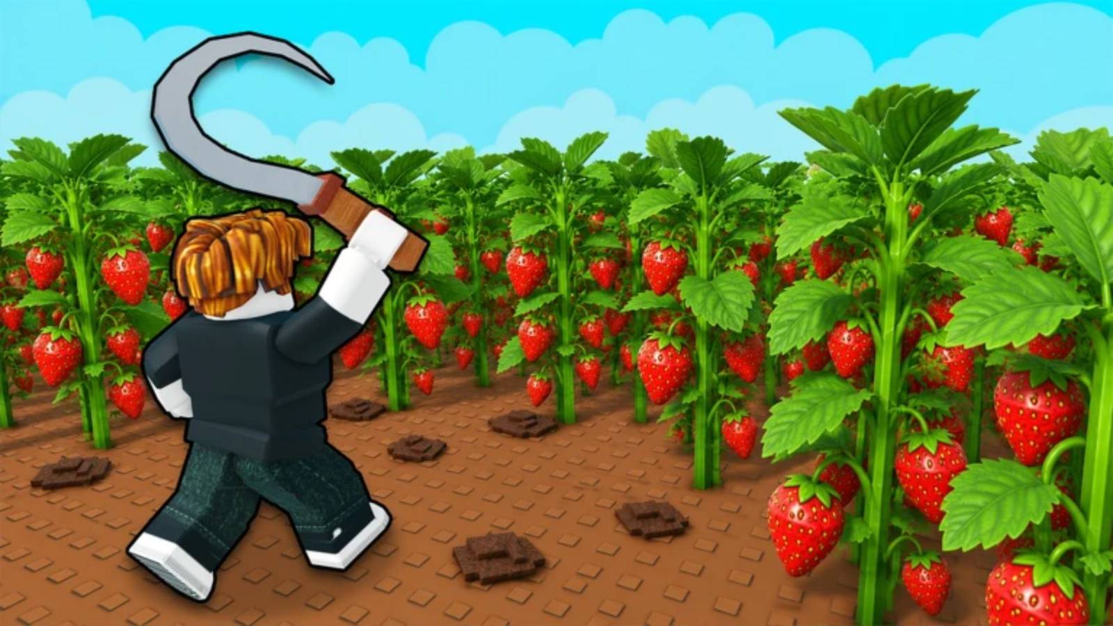 farmers market codes