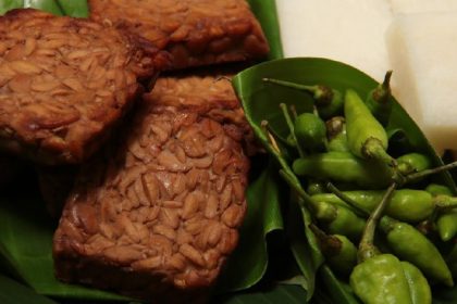 Resep Tempe Bacem Air Kelapa Manis dan Gurih 13 4c9141ca c975 4b56 83c5 68a6ddc95c0c 169