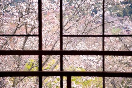 Keindahan Gunung Yoshino, Spot Terbaik Menikmati Sakura di Jepang 8 Cherry Blossoms on Mt. Yoshino