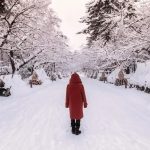 Traveling in Snow Country | What My Trip to Akita Taught Me 9 Hirosaki Castle Park Covered in Snow